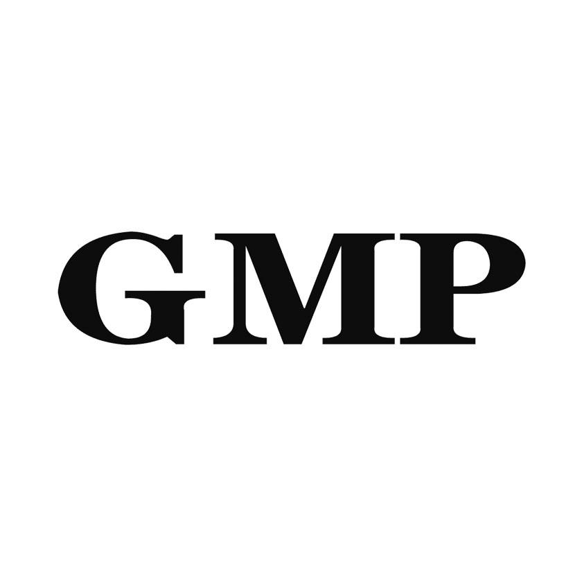 Unlocking the Chinese Pharmaceutical Market: Your Trusted GMP Translation Partner